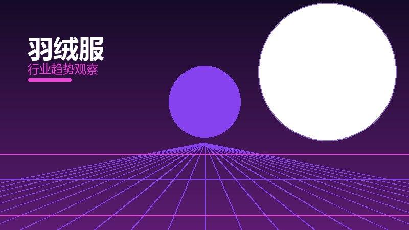 羽绒服配图