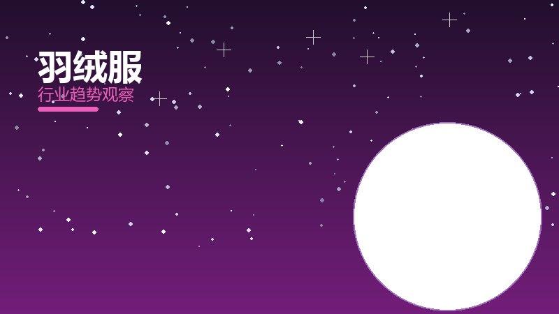 羽绒服配图